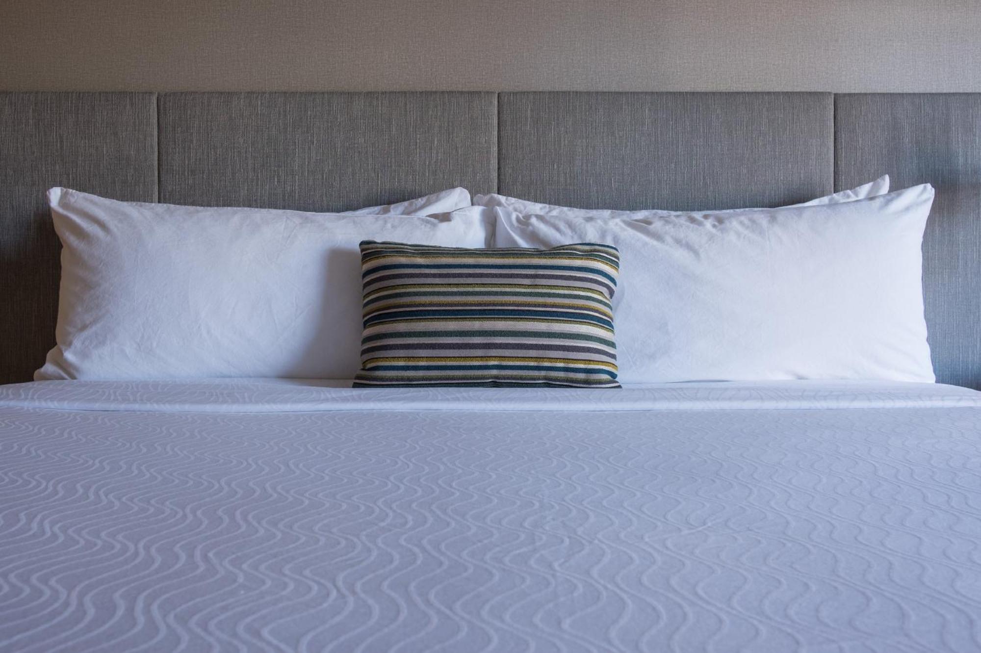 Hotel Indigo Napa Valley By Ihg Extérieur photo